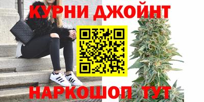 крисы Лесосибирск
