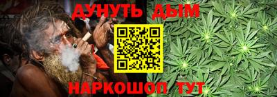крисы Лесосибирск